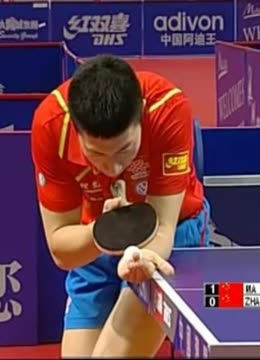 多特蒙德眼 多特蒙德眼