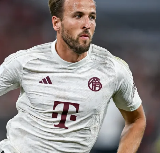 这样的全面 这样的全面